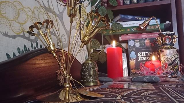 ШО!!!  НАКОНЕЦ ТО ОН ВСЁ ОСОЗНАЛ!!!