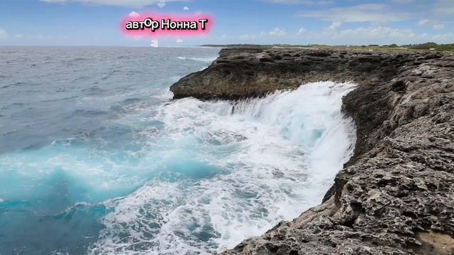 Цените жизнь!Слова и голос Нонна Т# музыка#reggi#пемняклип#любимпеть#любовь#жизнь