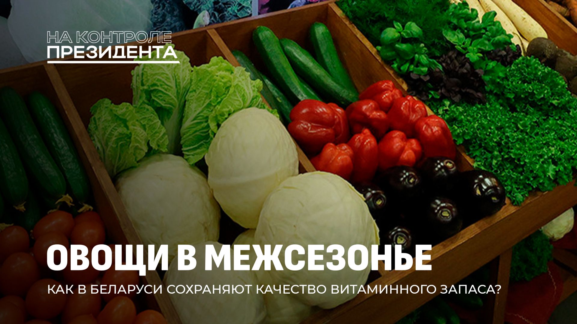 Фрукты и овощи круглый год: как в Беларуси сохраняют урожай в стабфондах. На контроле Президента