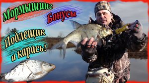 Мормышинг. Бонусы. Подлещик и карась!