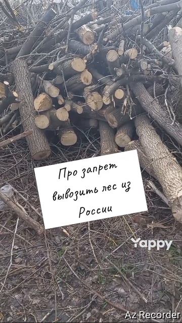 #черныйюмор