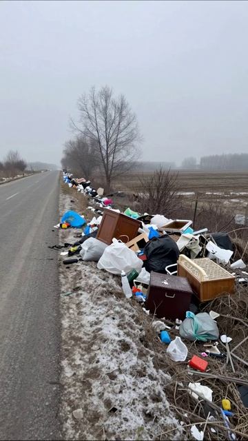 Ужасные последствия безответственности: мир свалки #экология #мусор