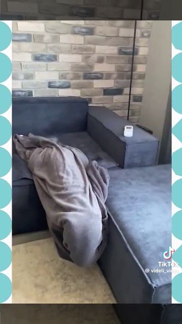 приведение