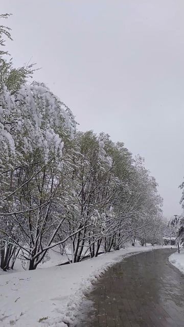 27.4.26 Москва, Южное Бутово