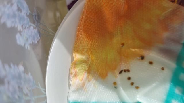 30.04.26🌱Прорыв🤔🌱