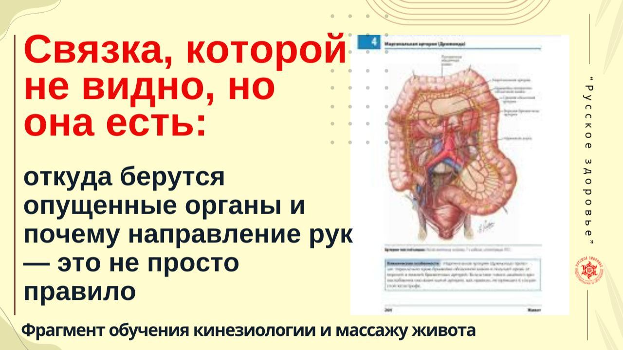 Связка которой не видно но она есть: откуда берутся опущенные органы и почему направление рук.