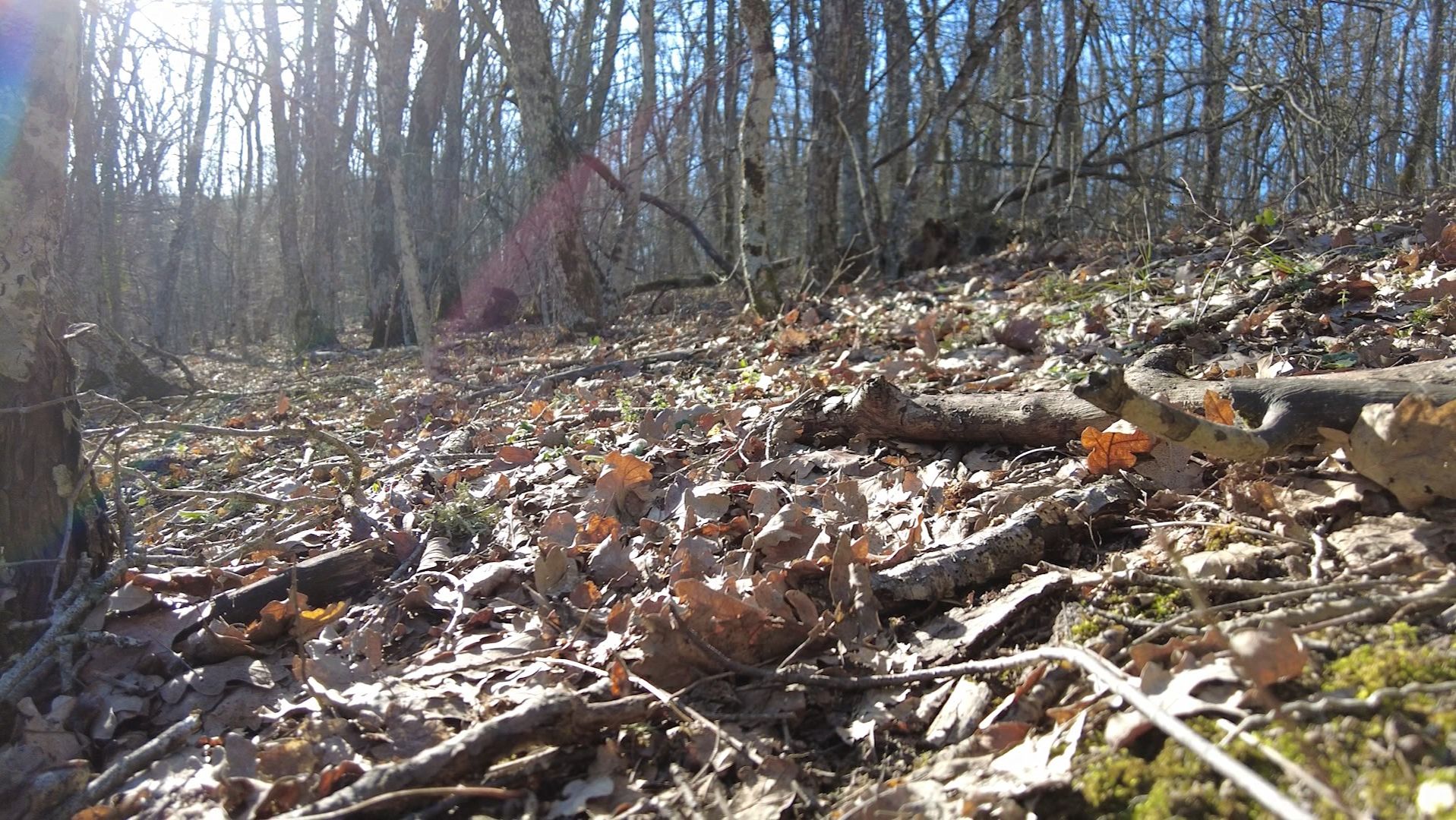 Как провести майские праздники на природе безопасно
