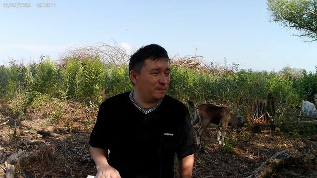 Почему богатому трудно войти в царство небесное?