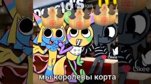 14240.mp4