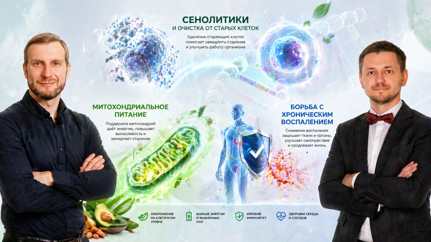 Клеточное старение и энергия: как вернуть себе бодрость с помощию продуктов Сово-Сова