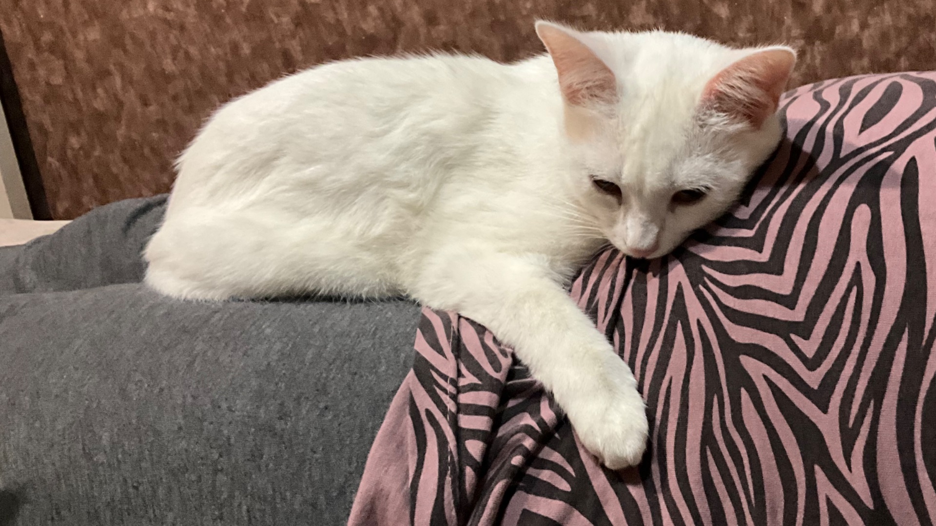 Танки на манеже