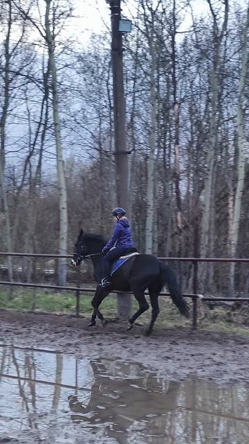 Ульяна и Рокас Вэлл, вечерний галоп на плацу.