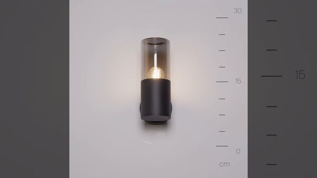 Светильник Maytoni Amas O432WL-01GF