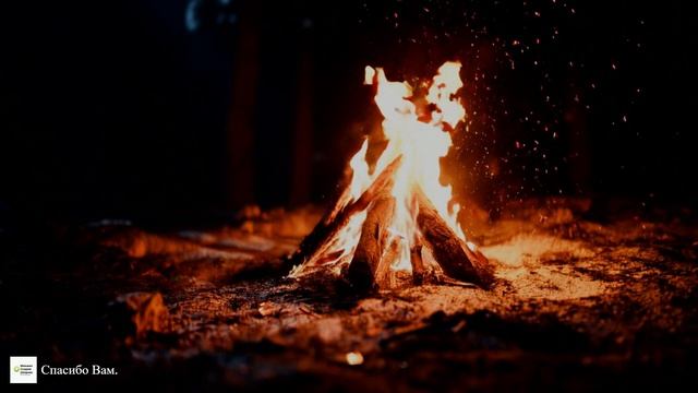 ПРЕМЬЕРА ПЕСНИ Спасибо Вам!