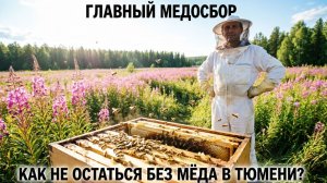 Главный медосбор в Тюменской области: как не остаться без мёда. Советы профессора Пашаян