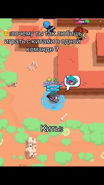 Ну коты и что