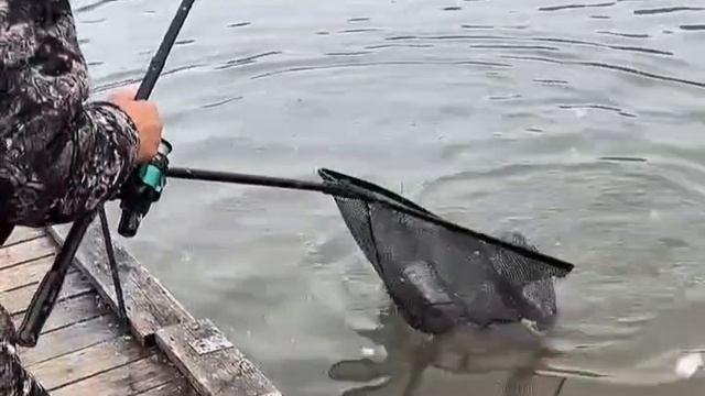 поимка форели