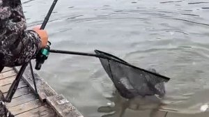 поимка форели