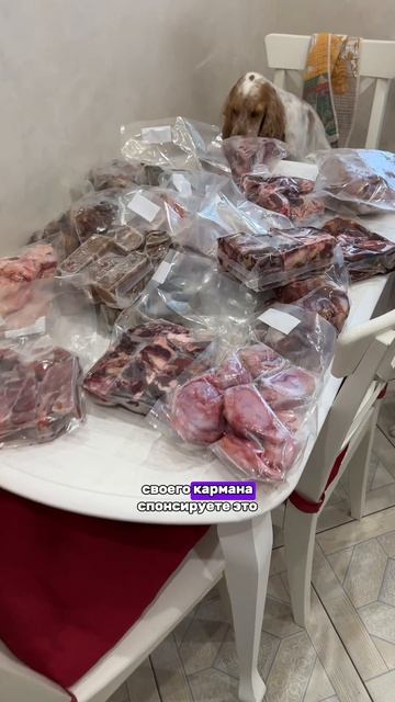 А вы чем кормите?❤️