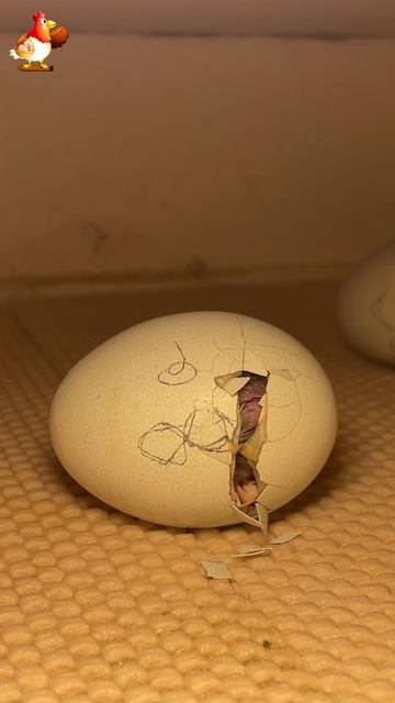 Процесс пошёл!