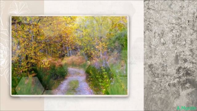 Vasim - Glamato & Garum