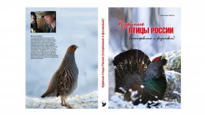 Курины птицы России (рекламный ролик)
