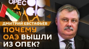 Дмитрий Евстафьев. ОАЭ выходят из ОПЕК, новый глава ФРС и третье покушение на Трампа
