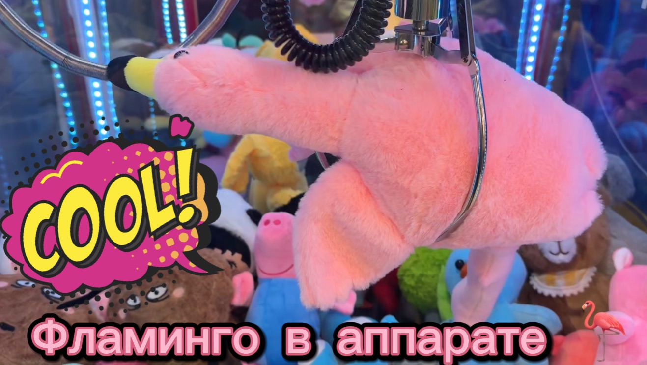 ВЕЧЕРНЕЕ ВИДЕО от CAPTURE WINNER MIX АППАРАТОВ telephone  любимая медленная клешня