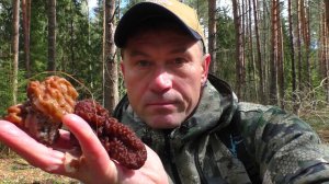 Зашел в незнакомый лес за весенними грибами: ОПАСНЫЙ СТРОЧОК — учимся распознавать