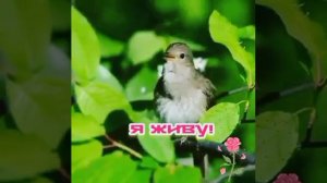 17ca2093-e72c-4afb-a270-cc2aedfce9a8.mp4