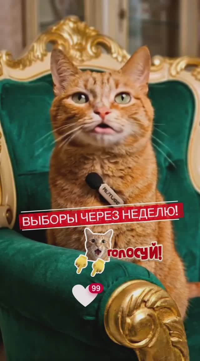 Выборы в президенты квартиры