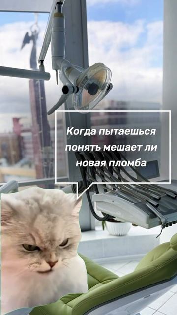 Регион Дент