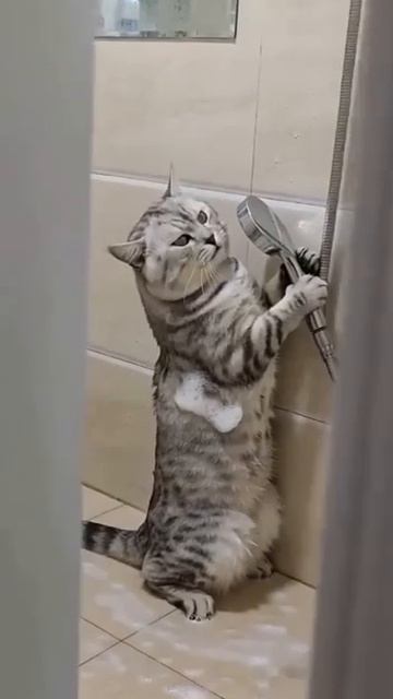 Ты снимал? Удоли!