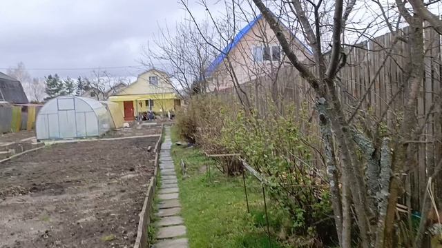 29.04.26. Проверила растишки на даче. Внучек приезжал.