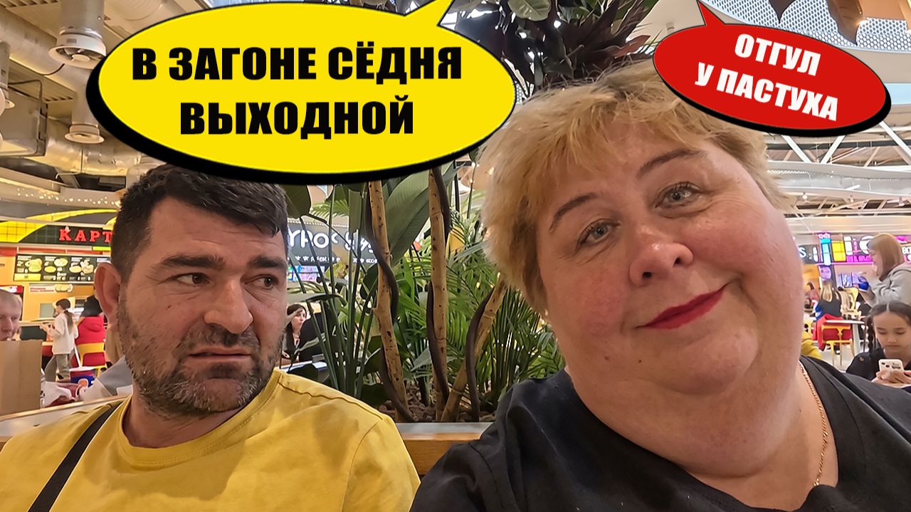 В ЗАГОНЕ сёдня выходной ОТГУЛ у ПАСТУХА  ОйЯ УРЖАлочка drive обзор юмор смех
