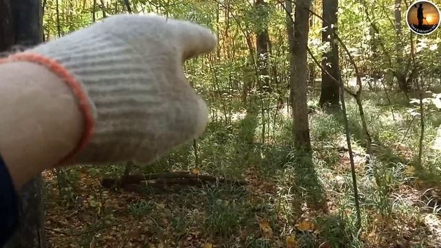 Две потеряжки лесные нашёл.