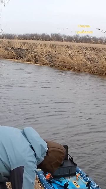 рыбалка в Астраханской области 2026г