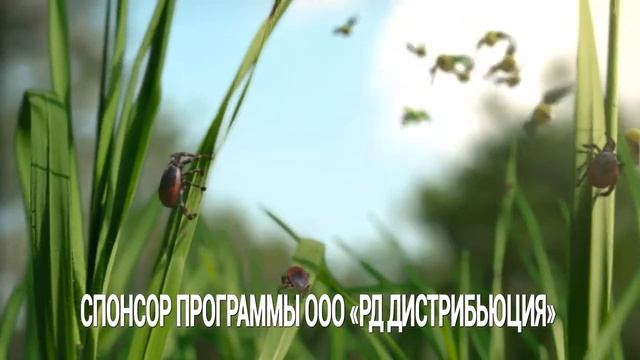 Реклама «Gardex» (Водская / Петссия 30.05-19.07.2026)