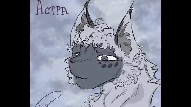 астра, на конкурс