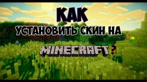 как поставить свой скин в маинкрафт даже на сервер !