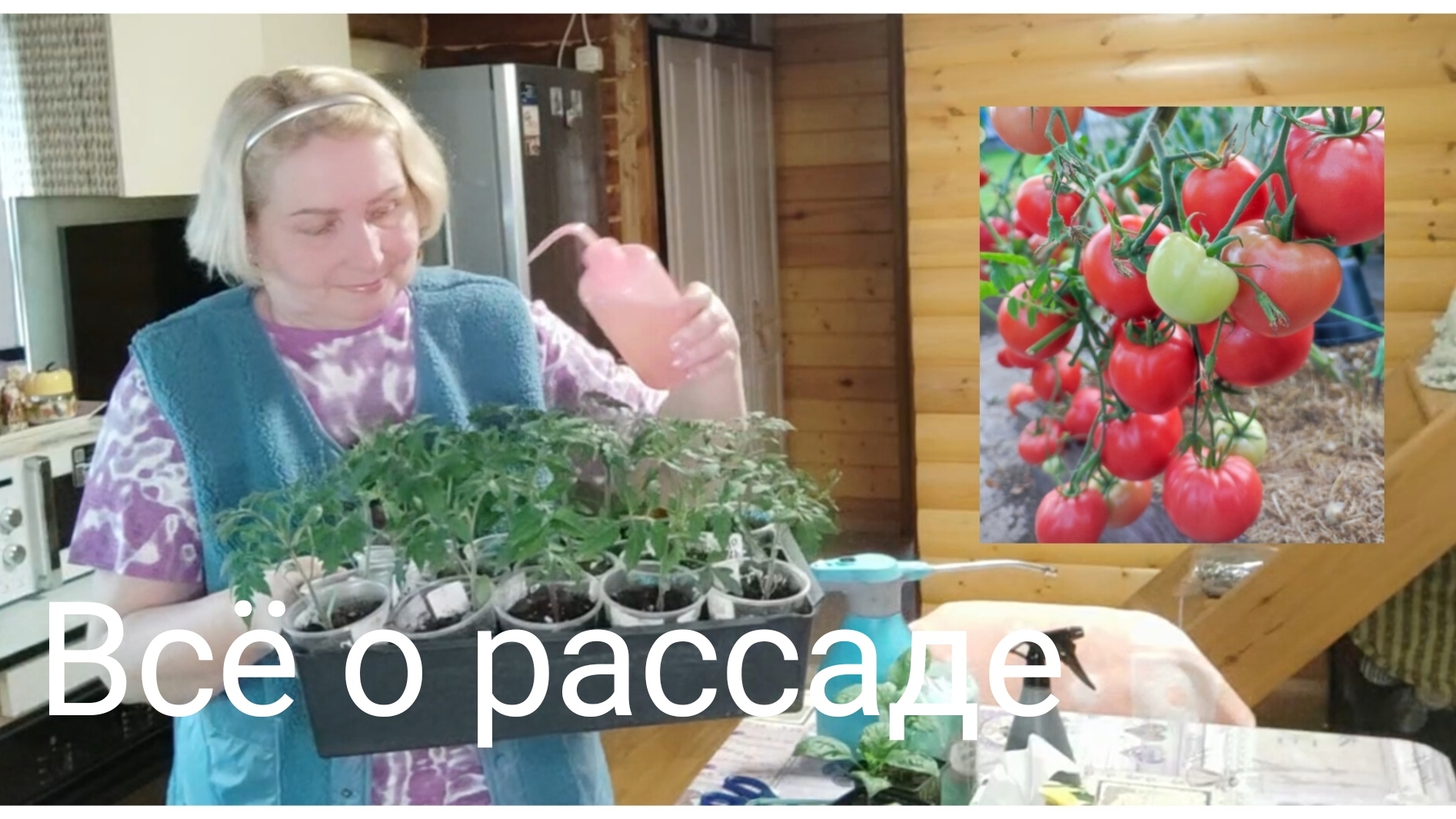 Томаты и перцы от семечка  до высадки .Чем подкормить Средство от улиток