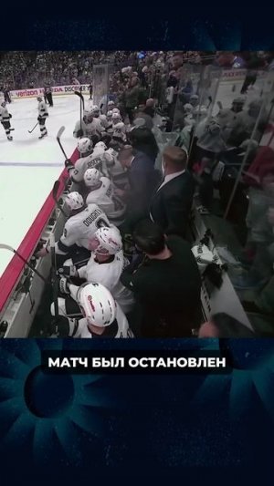 БОЛЕЛЬЩИКИ ВЫБИЛИ СТЕКЛО ЗА СКАМЕЙКОЙ ЗАПАСНЫХ