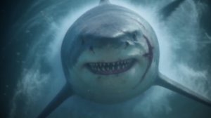 Посмотри туда!