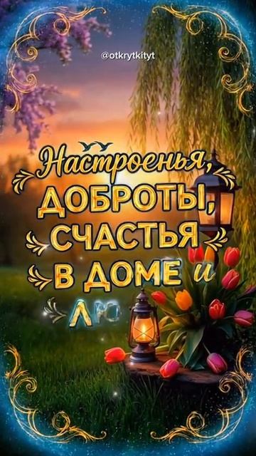 видео открытка