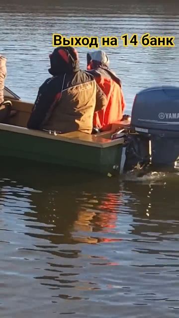 рыбалка в Астраханской области #fishing #рыбалка #астраханьрыбалка