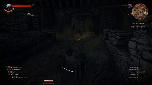 The Witcher 3 Серия 60