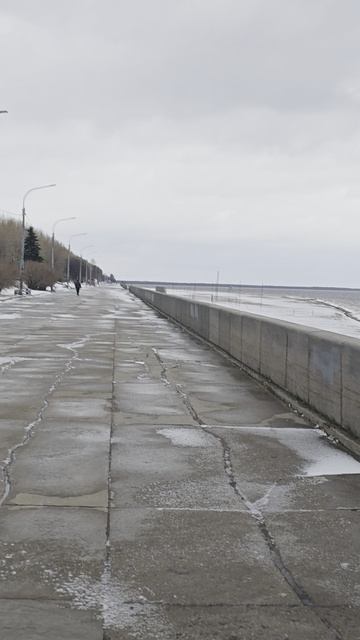 88-й день февраля. Снег в Архангельске растает скоро.