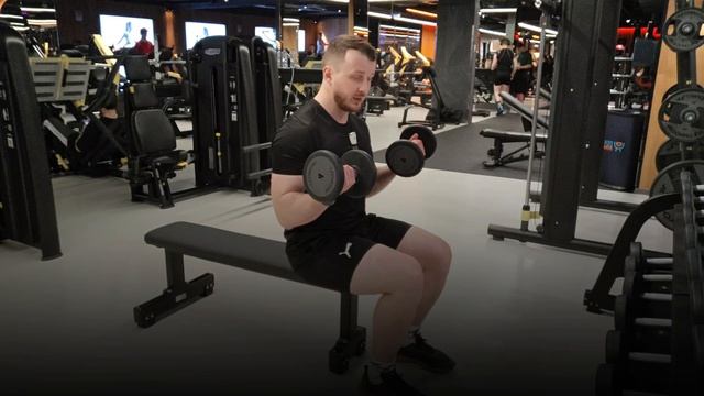 Бицепс сидя, техника выполнения упражнения.