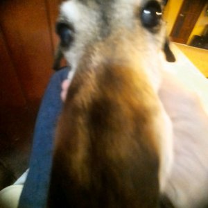 общаемся и угараем