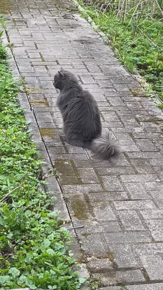 В хорошую погоду интересней